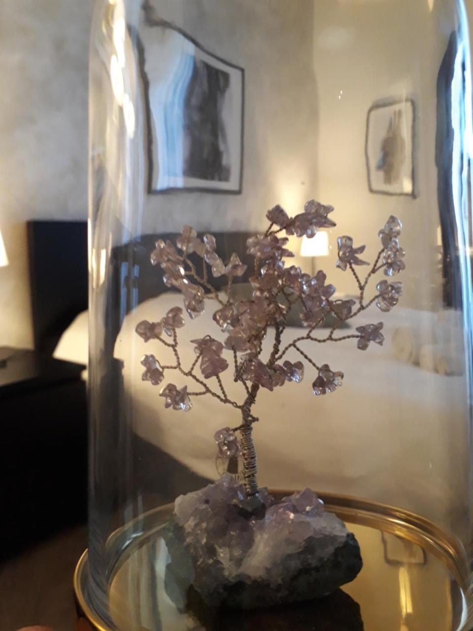 Etnea Street Apartment คาตาเนีย ภายนอก รูปภาพ
